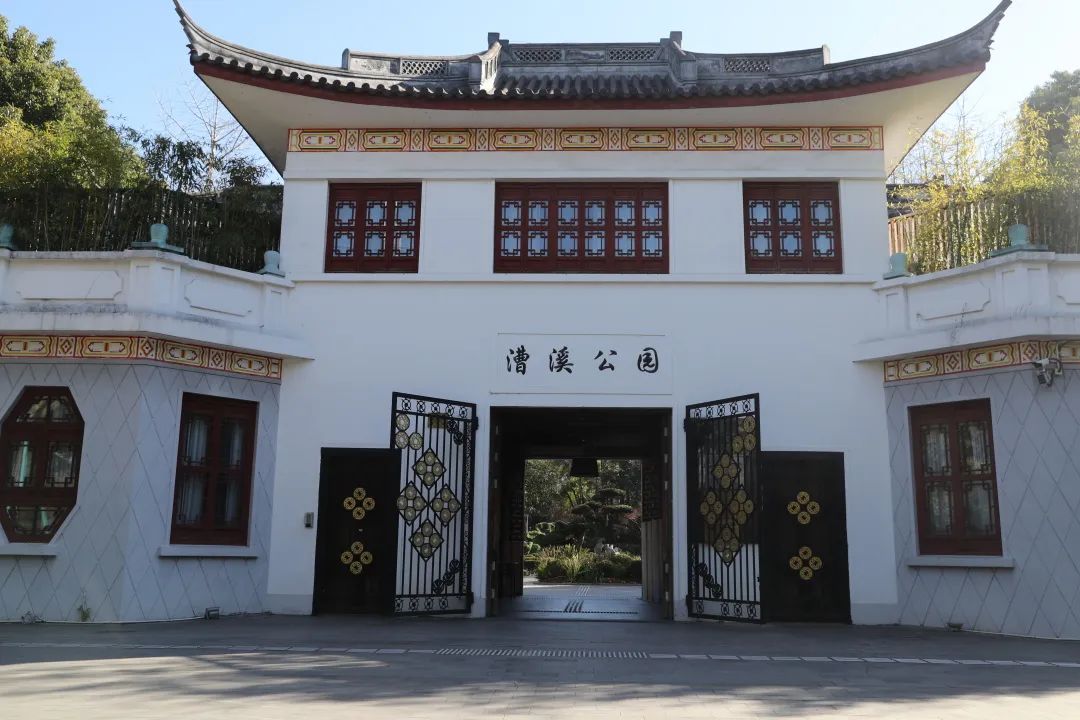 遇见徐汇丨冬日游园之漕溪公园,古树常青生意盎然～|上海市_新浪财经