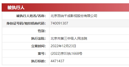 截图来源：中国执行信息公开网