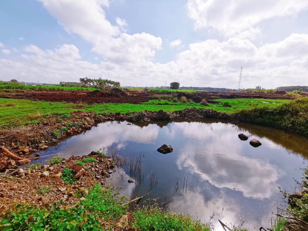 废弃矿石坑变良田——海南临高新盈镇全域土地综合整治试点项目见闻
