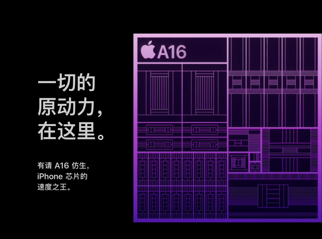 圖源蘋果官網