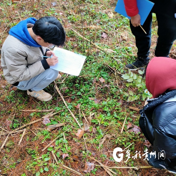 贵阳市首次生物多样性本底调查发现2895种物种