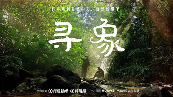 去雨林深處�，聽大象長吟，天然紀錄片《尋象》正式上線！