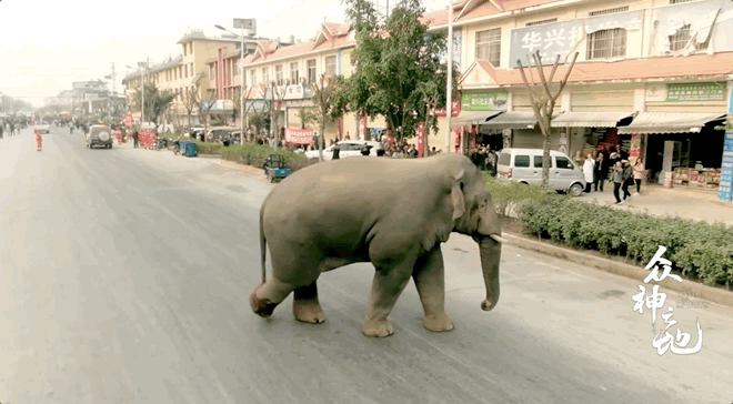 曾经威风凛凛的“三叔”