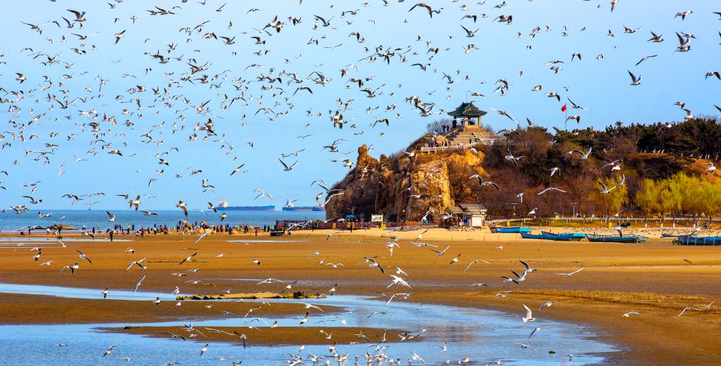 河北46条入海河流河口断面全部消除劣五类|生态环境_新浪财经_新浪网