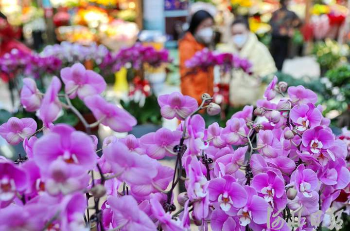 秦皇岛市海港区的新洋洋花卉市场内,商家正在整理花卉.