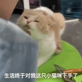 （还好，下手不算太重）