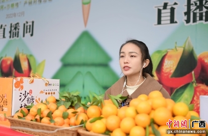 　　主办方供图