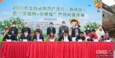 　　主办方供图