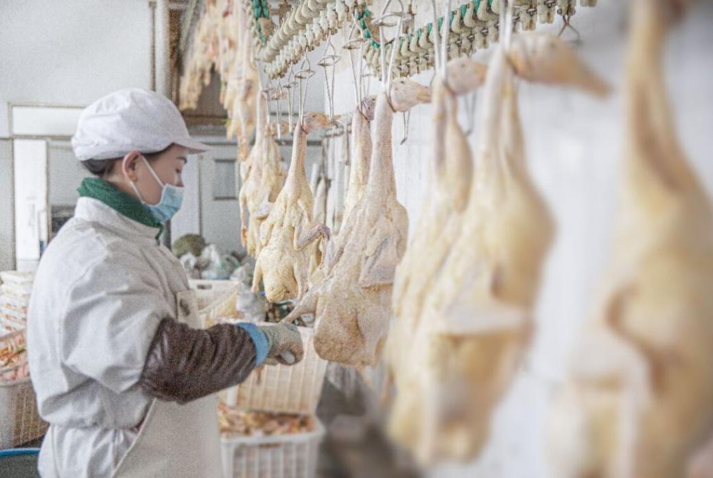 在山东春冠食品有限公司,工人正在加工鹅体.(受访者供图)