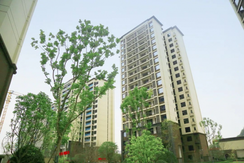 　　△正黄·金域香江一期交付实拍图