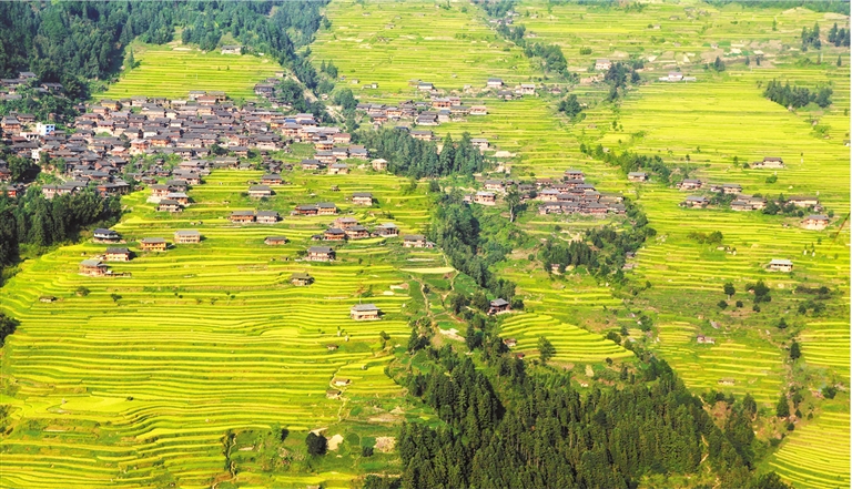 三都自治县都江镇控抗村美丽的秋色. 杨鸿新 摄