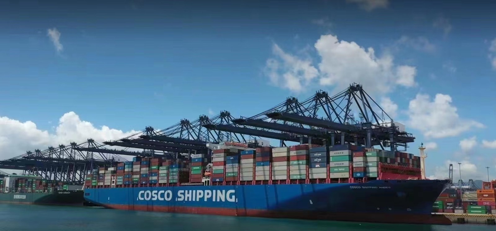 比亚迪电动汽车通过集装箱海运方式从盐田港出口.(盐轩/图)