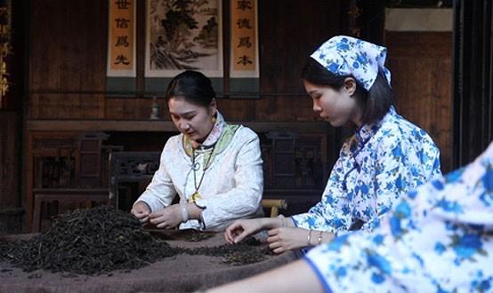 　　*卓丽频女士制茶日常
