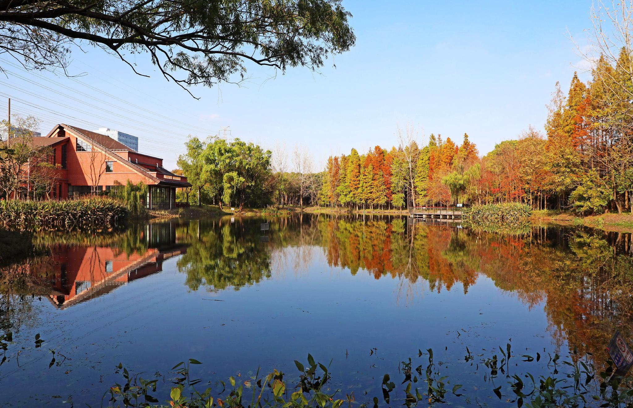 上海"环上公园"上新,宝山丰翔智秀公园今开园|上海市_新浪财经_新浪网