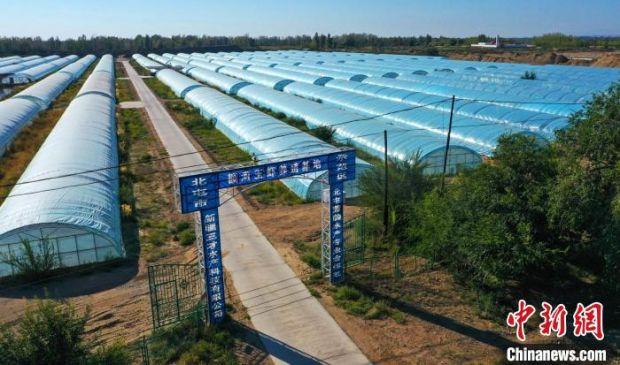 航拍第十师一八三团额河玉虾养殖基地(资料图)。 李正虎 摄