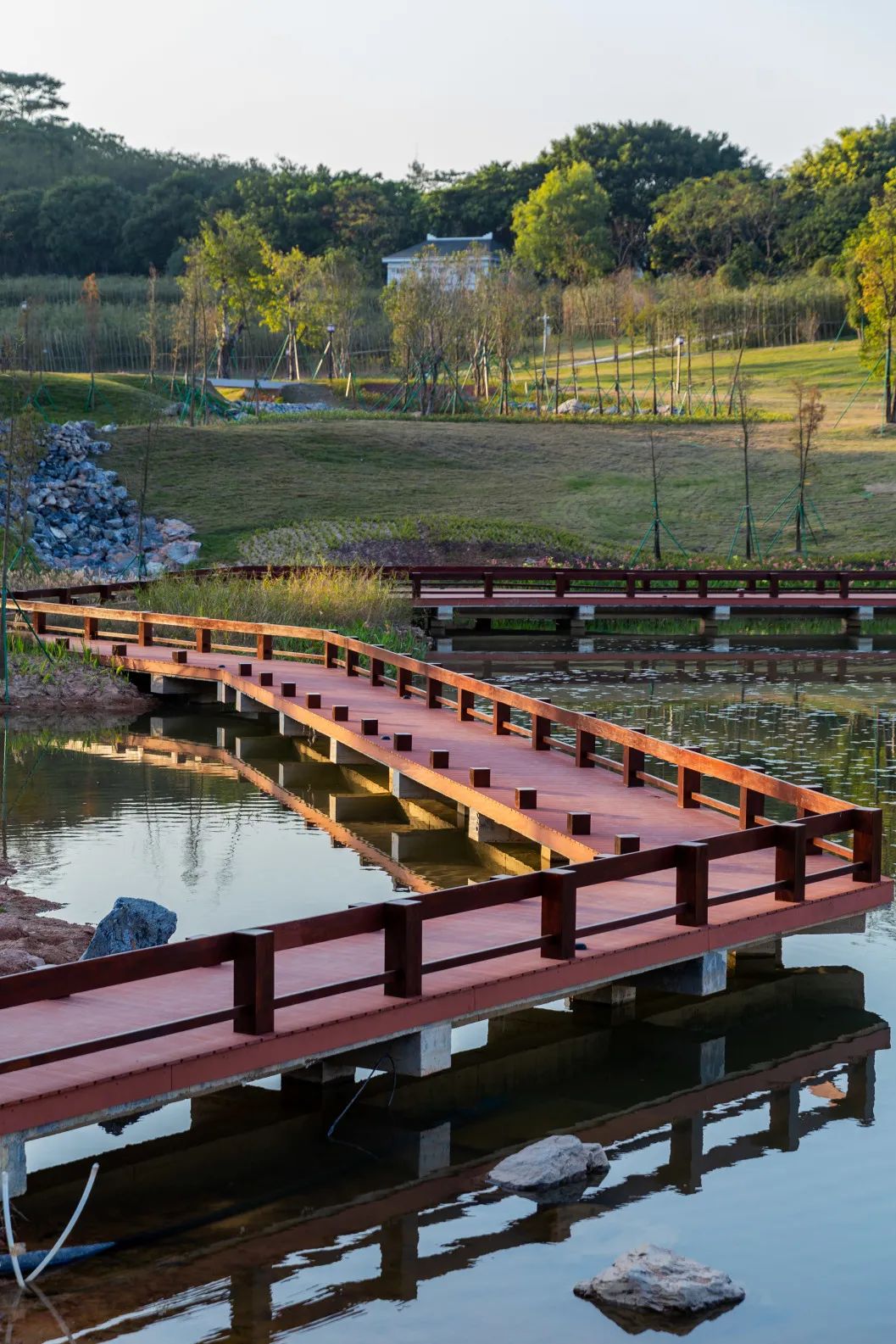 金钟湖公园群,上新了!|中山市_新浪财经_新浪网