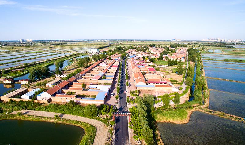 唐山空降女友滴滴约是真的吗