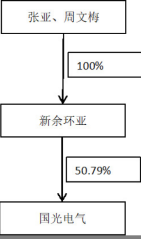 国光电气股权架构，图片来源：2021年年报