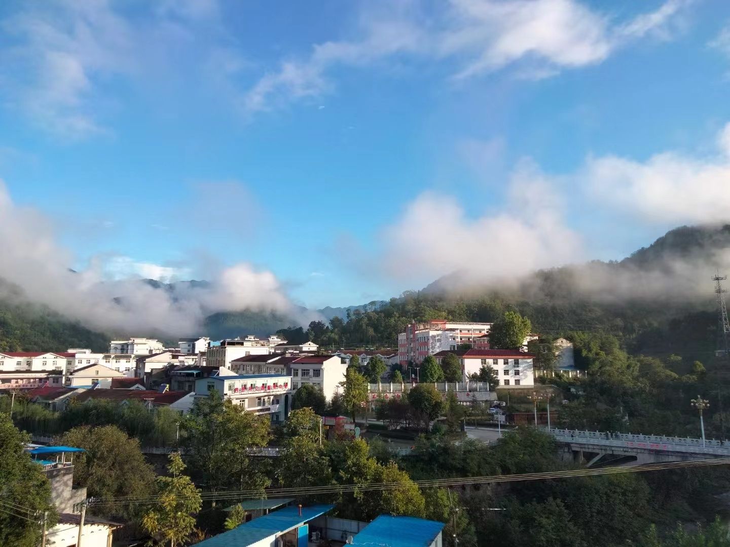 【高质量发展书记谈·乡镇篇】安康市汉阴县铁佛寺镇党委书记龙艳:牵