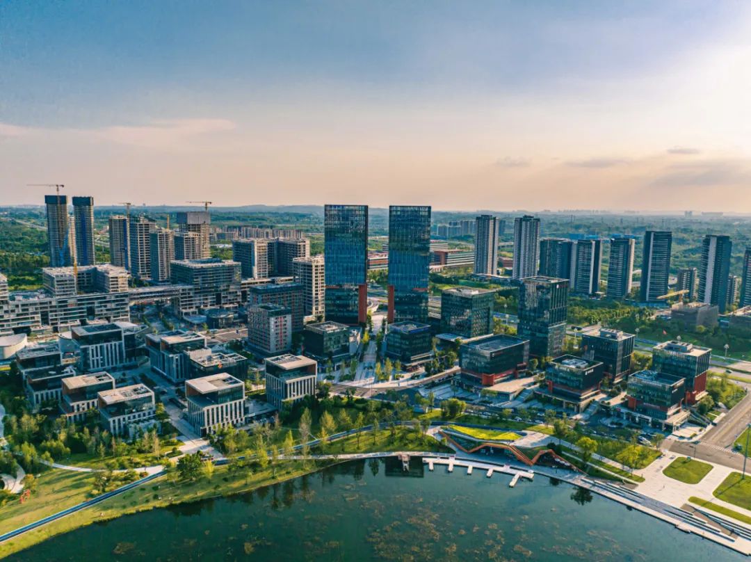 武都八中巷为何难寻姑娘身影?实地探访揭示三大真相