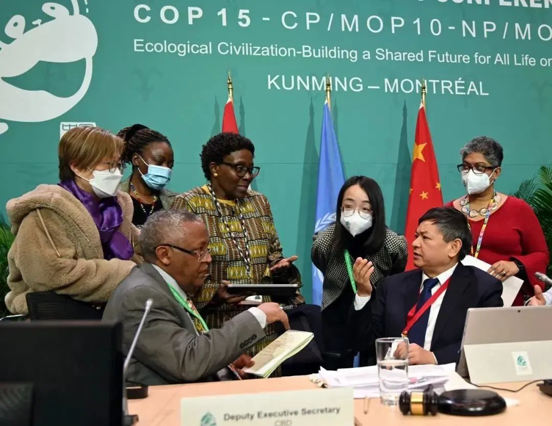 回放 | COP15第二阶段会议图片集锦|生物多样性公约_新浪财经_新浪网