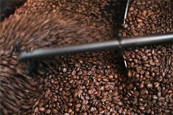 　　精品咖啡是产业的发展方向