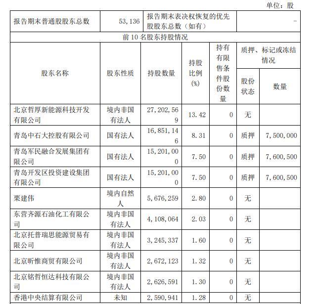 截至三季度末，胜华新材前十名单一股东 图片来源：胜华新材三季报截图