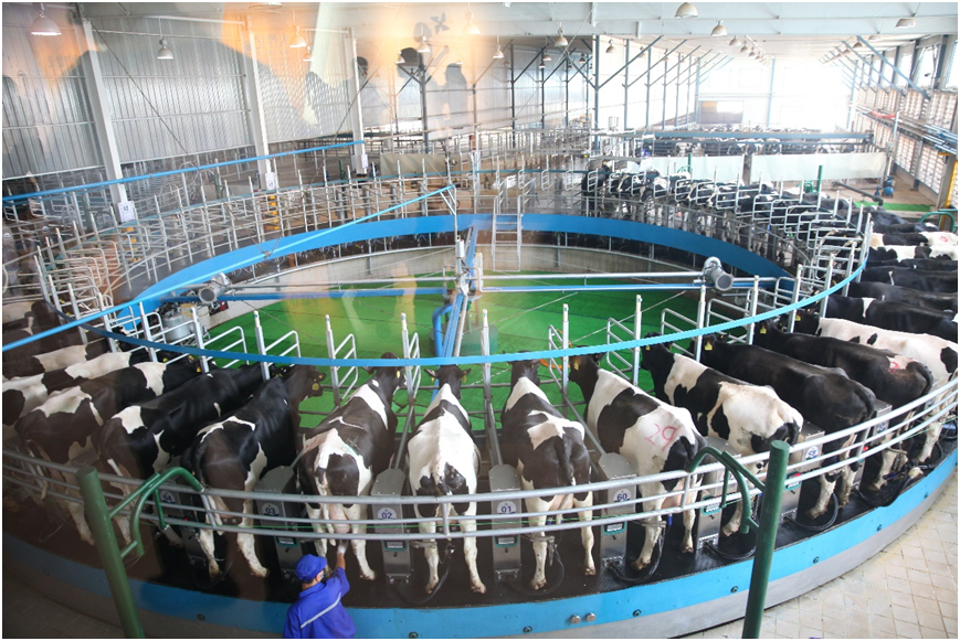 君乐宝：从源头到终端严守品质“生命线”(图2)