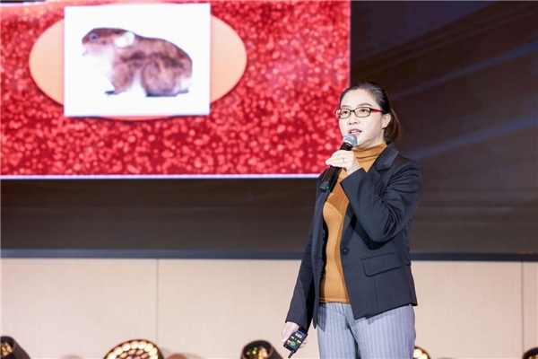 　　中国科学院古脊椎动物与古人类研究所研究员李茜讲述鼠与兔共同起源的研究历史