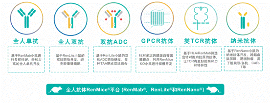 　　百奥赛图创新型全人抗体技术平台