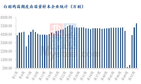 数据来源:钢联数据