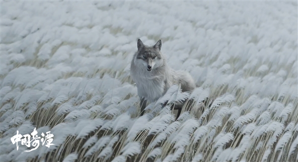 【本文结束】如需转载请务必注明出处：快科技责任编辑：随心