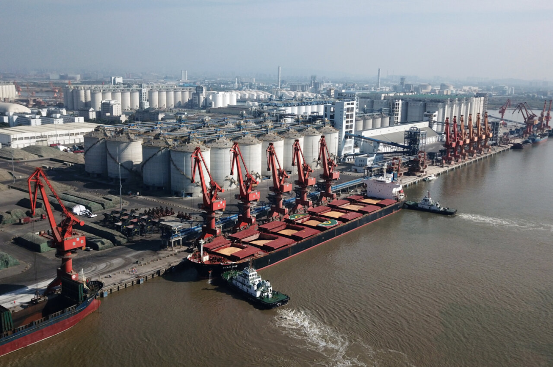 1月7日,载有6.8万吨巴西玉米的货轮抵达广东麻涌港.