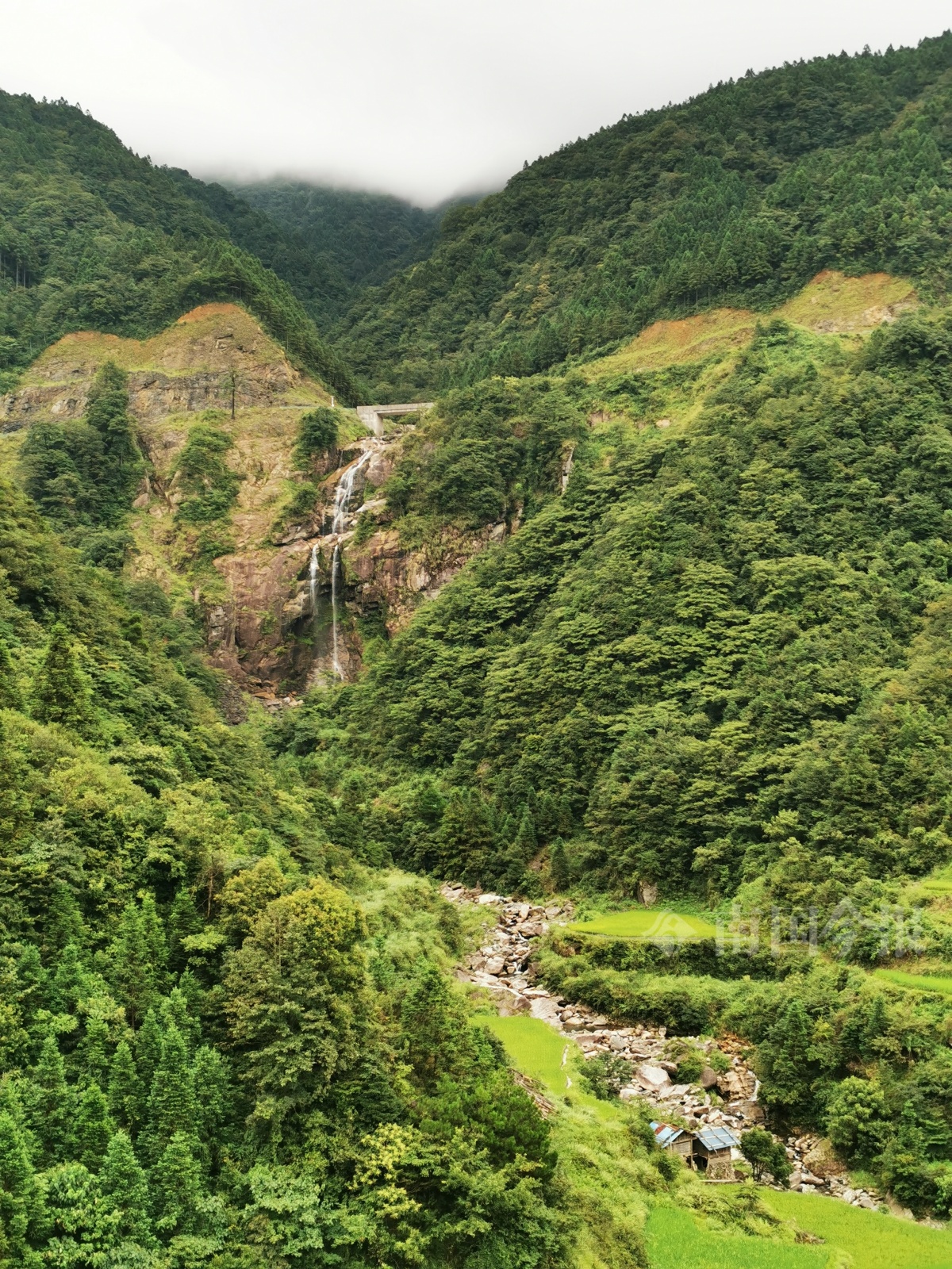 图为柳州市境内的元宝山自然保护区.(资料图片)记者 王剑 摄