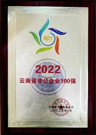 　　“云南省非公企业创新能力10强 ”