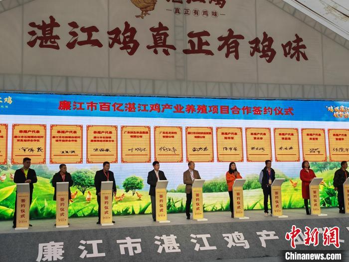 广东廉江举办湛江鸡产业发展大会 签约总额近22亿元（一看就会）