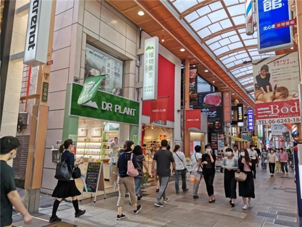 　　植物医生日本大阪心斋桥二店