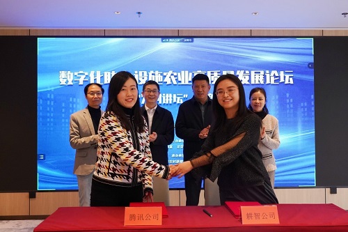 腾讯公司与耕智公司签约现场（腾讯供图）