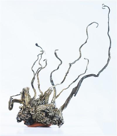 鳞木化石.山西地质博物馆供图