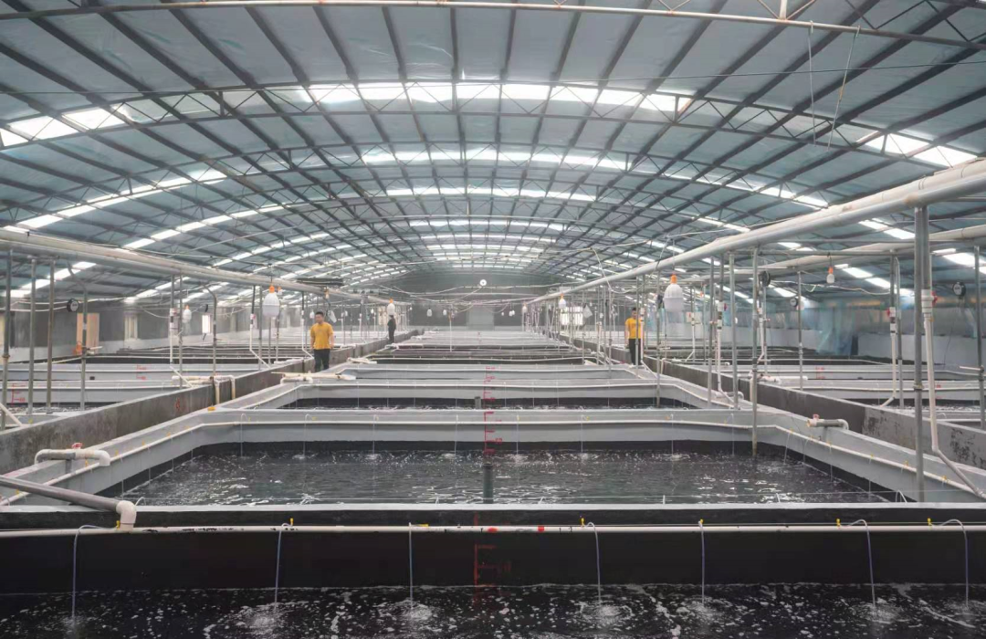 强园区引擎 助产业兴旺,我市深入实施现代农业园区崛起行动|统一_新浪