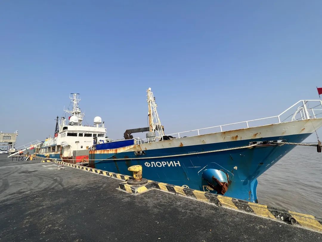 俄罗斯籍"弗罗林"轮靠泊上海长兴横沙渔港码头