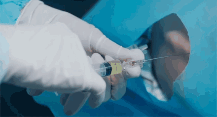 ▲电影《天堂的张望》