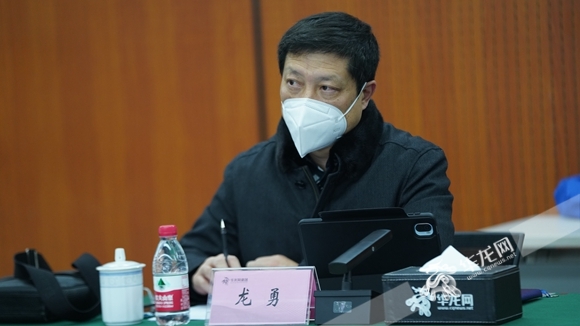 重庆大学经济与工商管理学院博士生导师,重庆市旅游经济顾问龙勇.