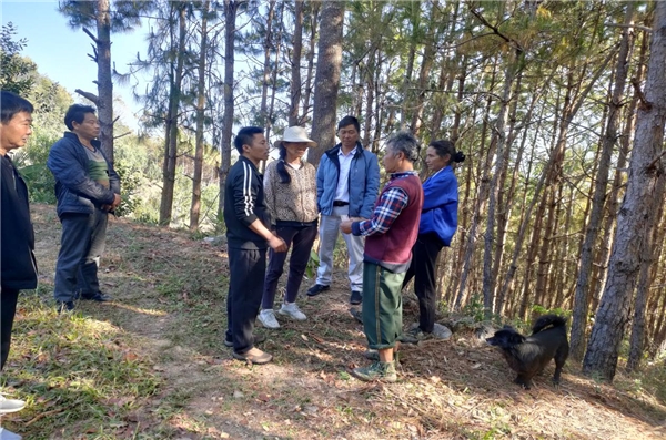 助力者东乡村振兴 彰显镇沅林草担当
