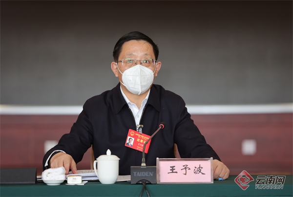 王予波认真倾听代表发言&nbsp;记者 陈飞 摄