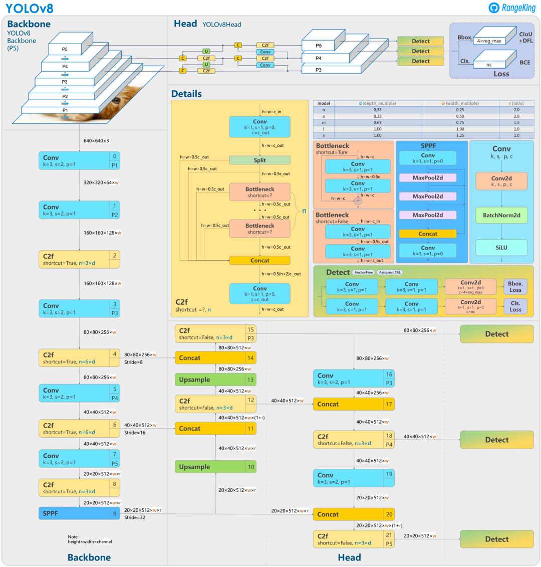 YOLOv8 架构。图源：GitHub 用户 RangeKing。