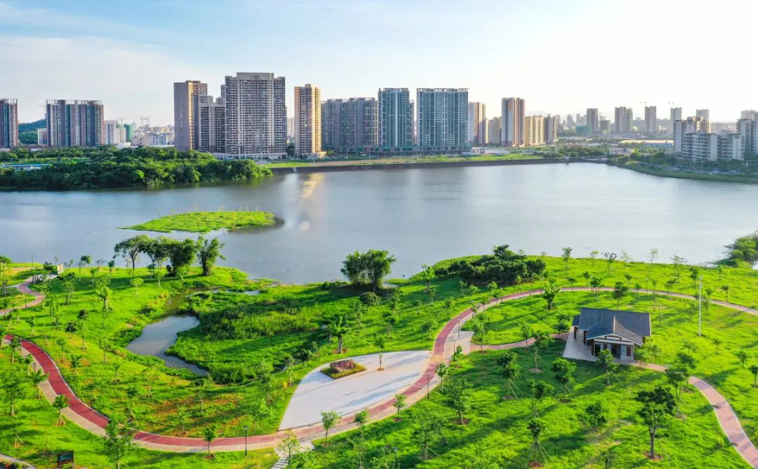 共青湖公园 梁文东摄