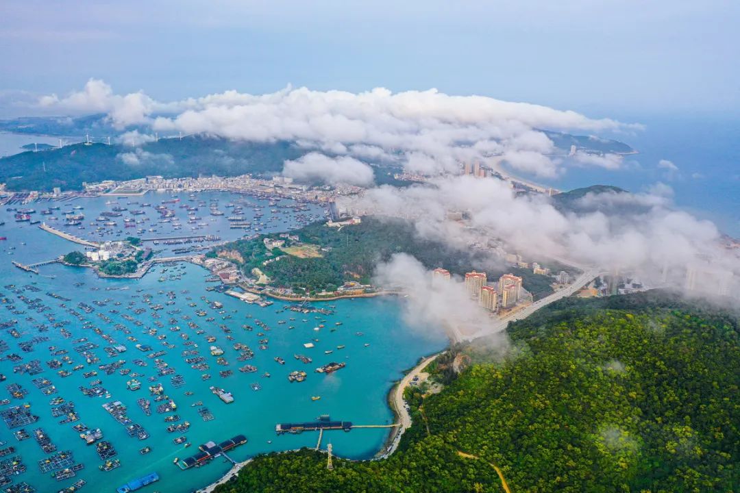 闸坡渔港 梁文栋摄