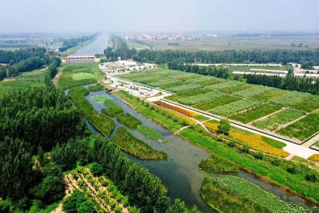 贾珺 摄11月16日,霸州市胜芳湿地公园景色如画.魏亮 摄