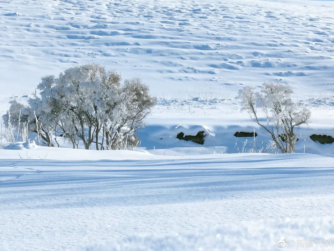 新疆塔城雪景图片来源:新疆气象